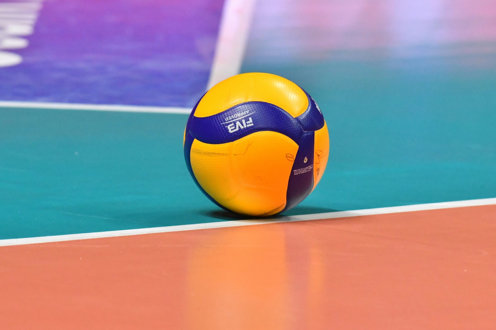 Pallavolo mista